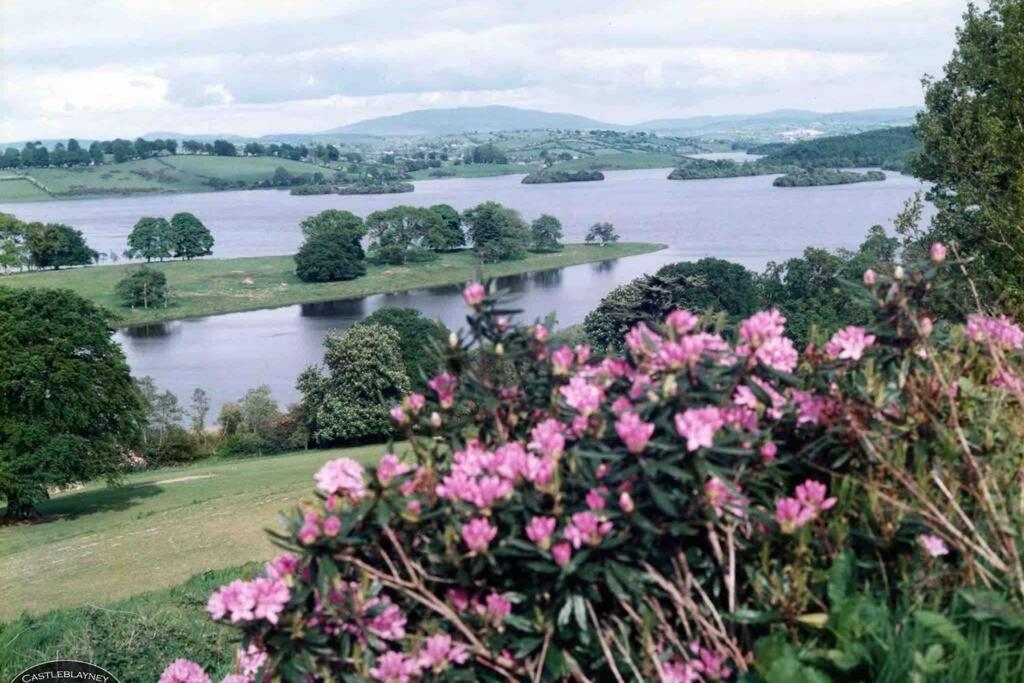 Glenmount Castleblayney Villa Buitenkant foto